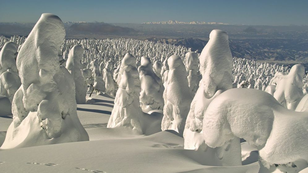 Snježna čudovišta - 7