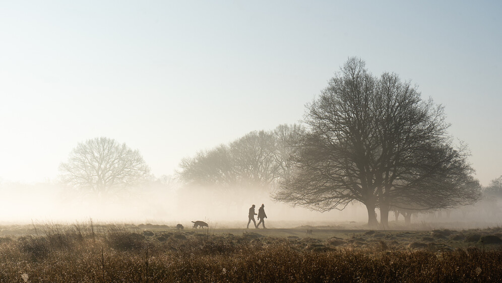 Vremenska prognoza; Ilustracija