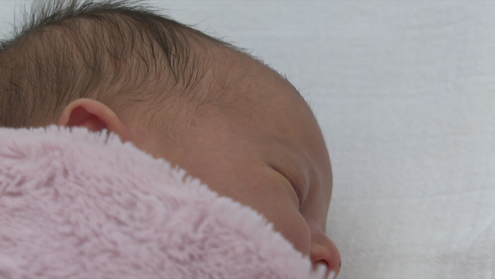 Vinkovci demografija