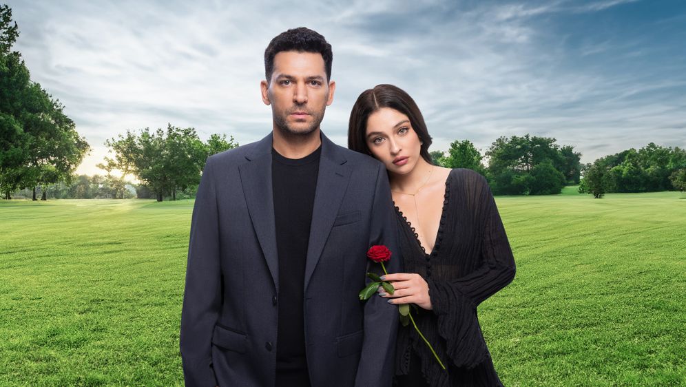 Tajne prošlosti SPLASH