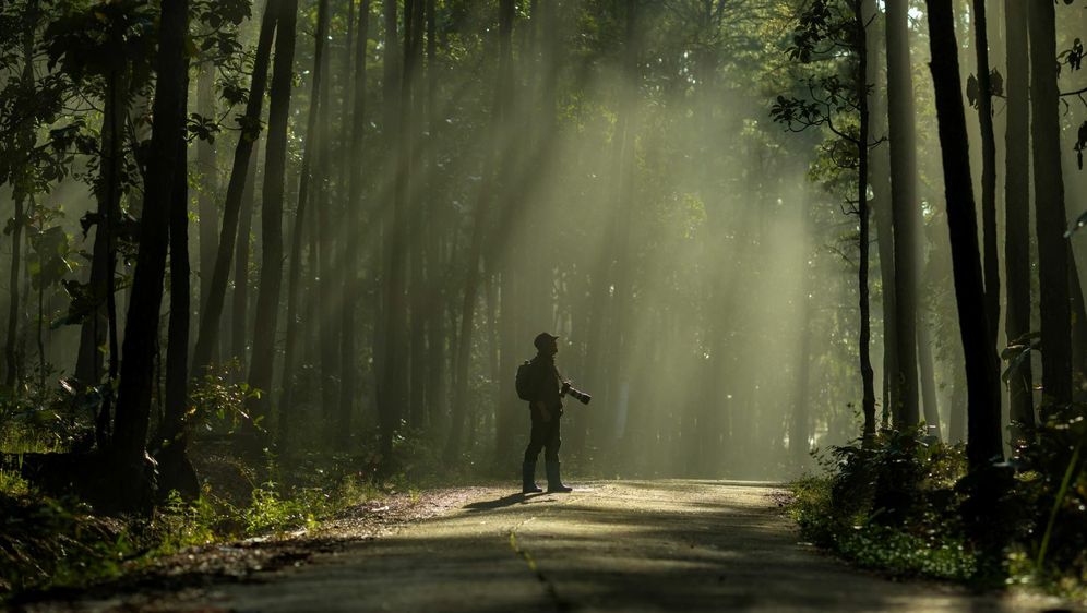 Fotograf u šumi, ilustracija