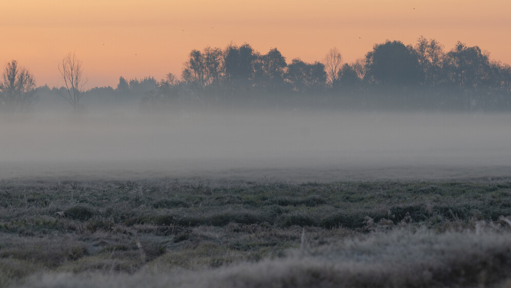 Vremenska prognoza; Ilustracija