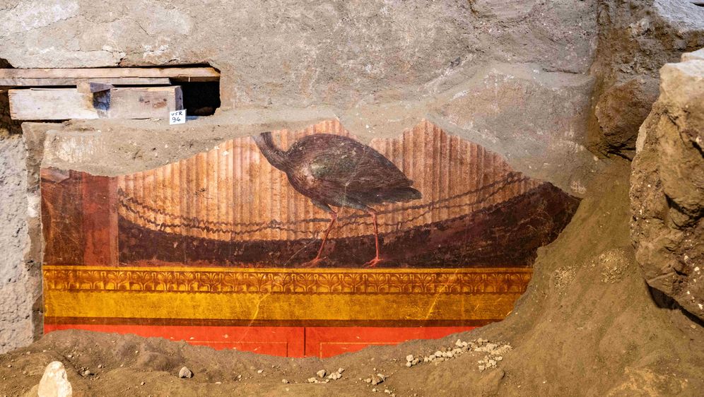 Pronađena freska paunice bez glave