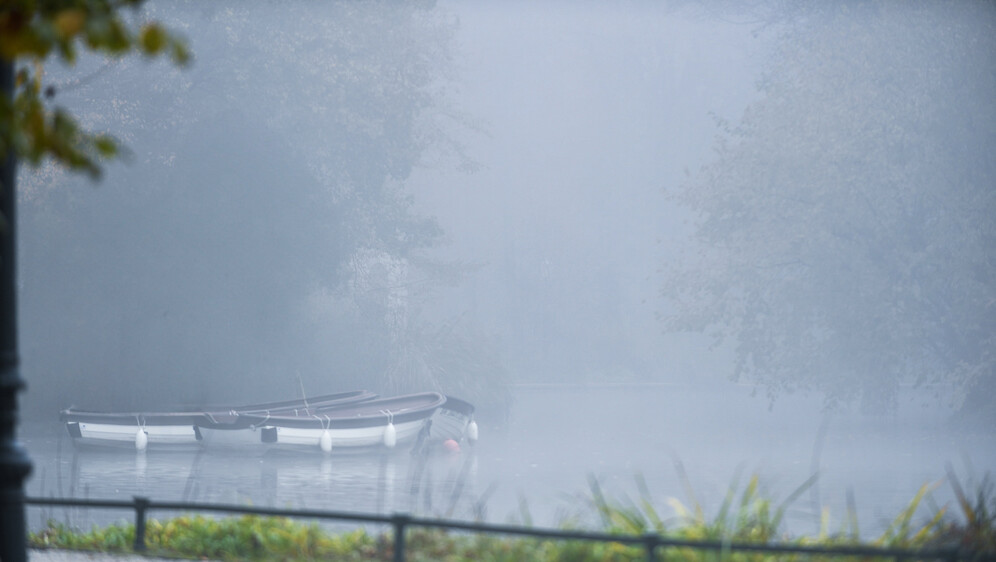 Magla u parku Maksimir