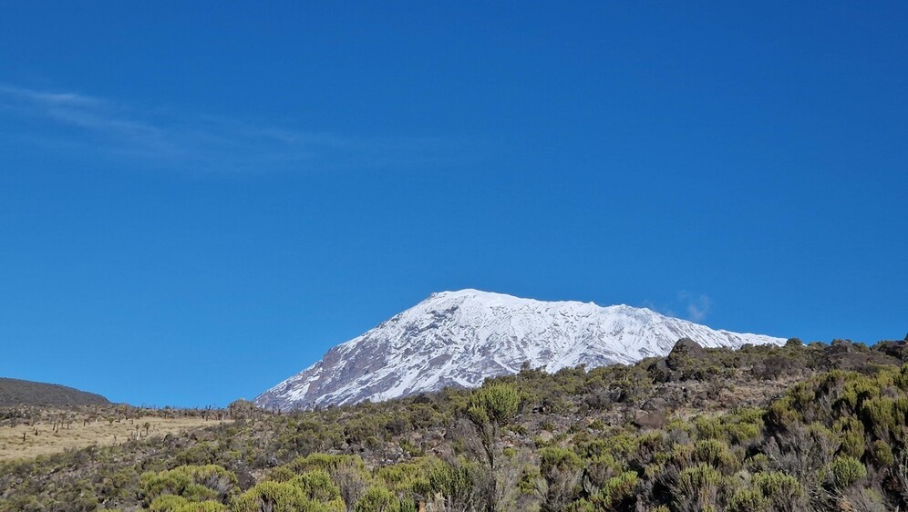 Kilimanjaro