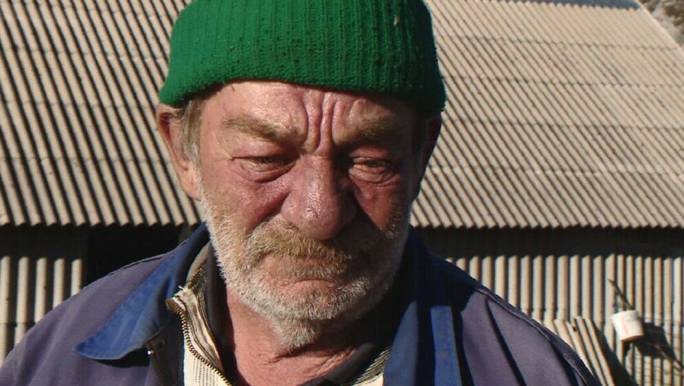 Stočar Nikola Surla