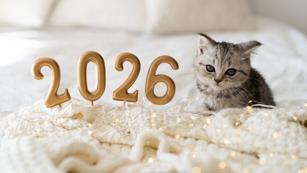 Ulazak u novu godinu idealna je prilika za mali životni reset