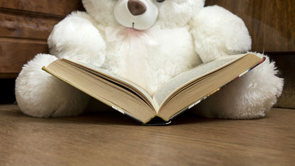 Plišani medvjedić čita knjigu