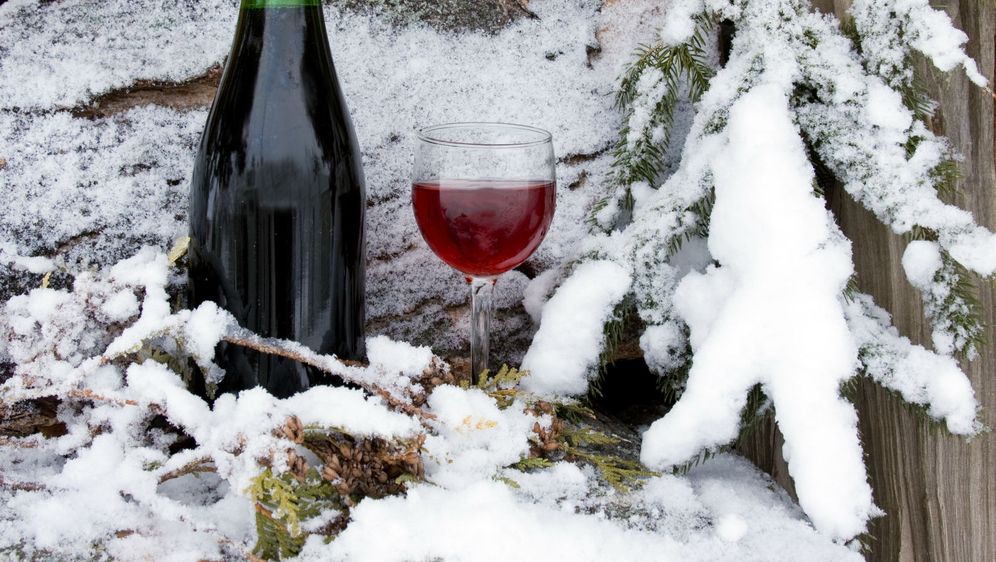 Vino