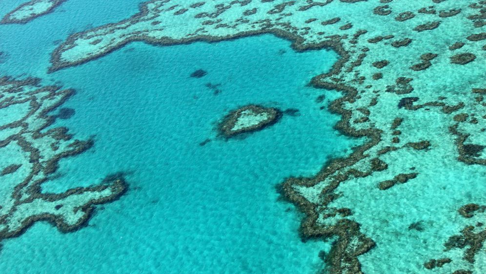 Veliki koraljni greben (Foto: AFP)