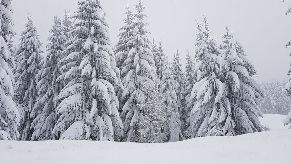 Snijeg u Gorskom kotaru (Foto: dnevnik.hr)