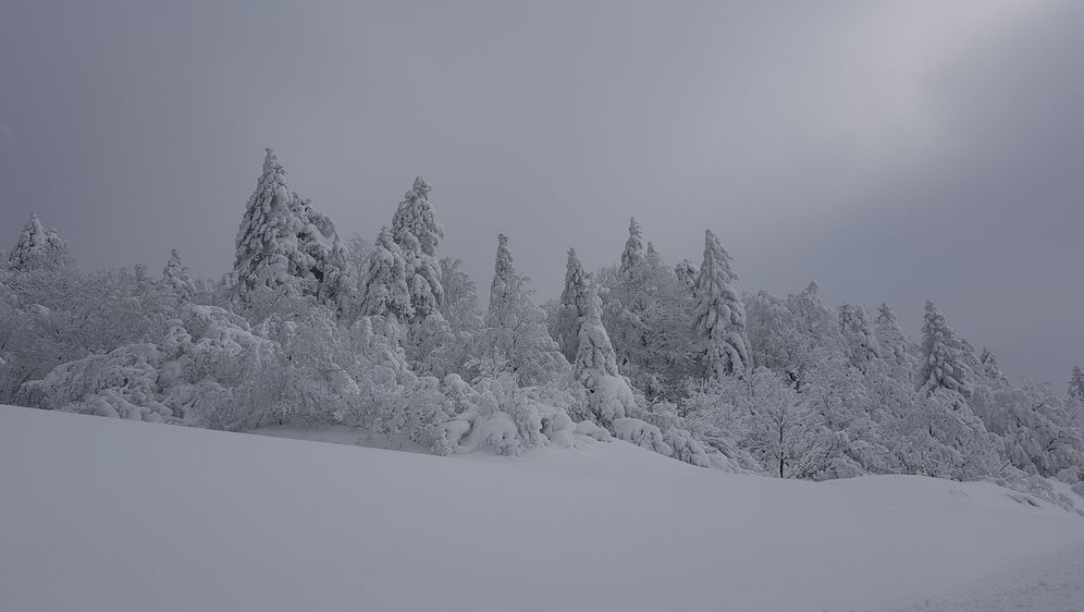 Snijeg u Hrvatskoj (Foto: Robert Labrović/dnevnik.hr) - 4