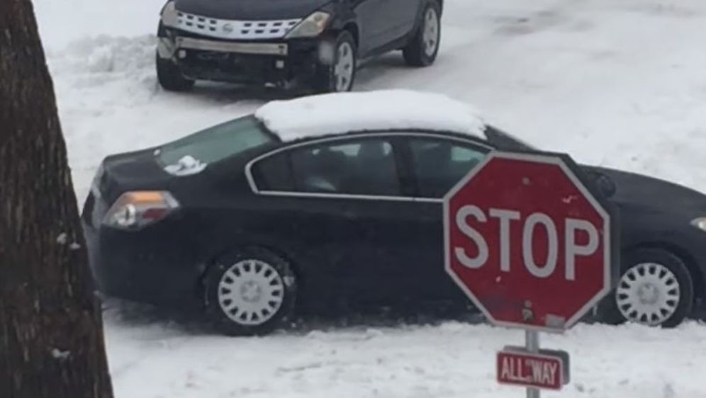 Zimske tegobe (Foto: Screenshot/YouTube)