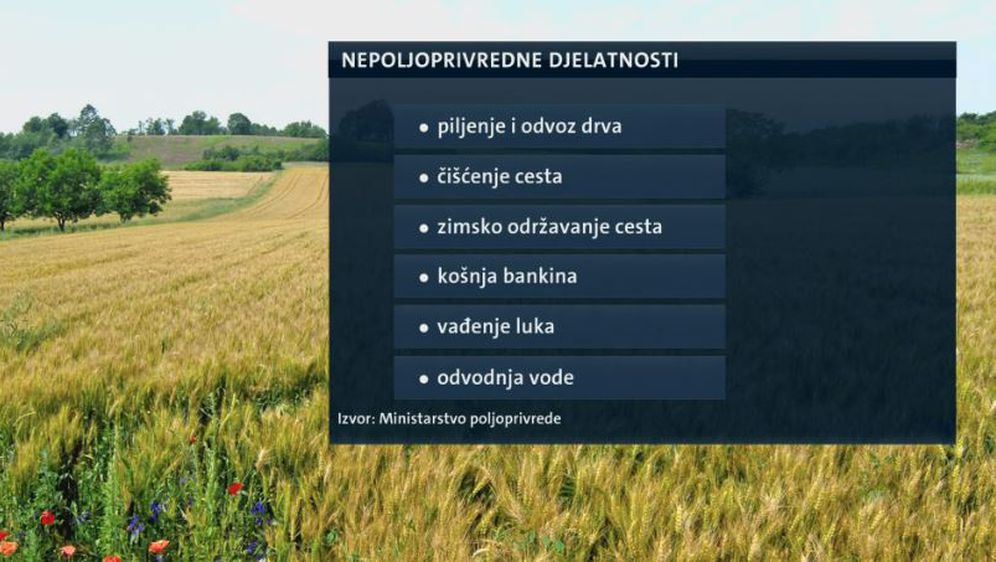 Nepoljoprivredne djelatnosti (Foto: Dnevnik.hr)