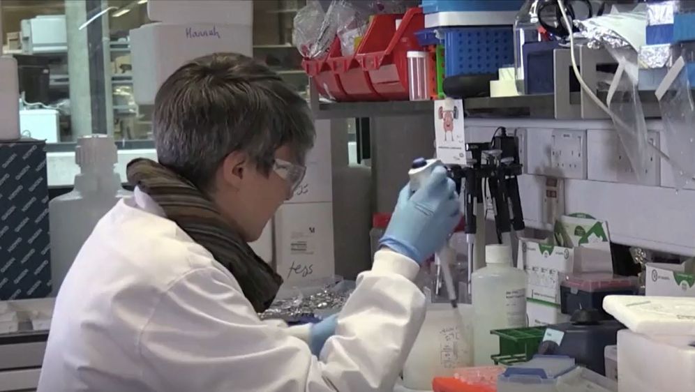 Liječnici proučavaju nove sojeve koronavirusa - 1