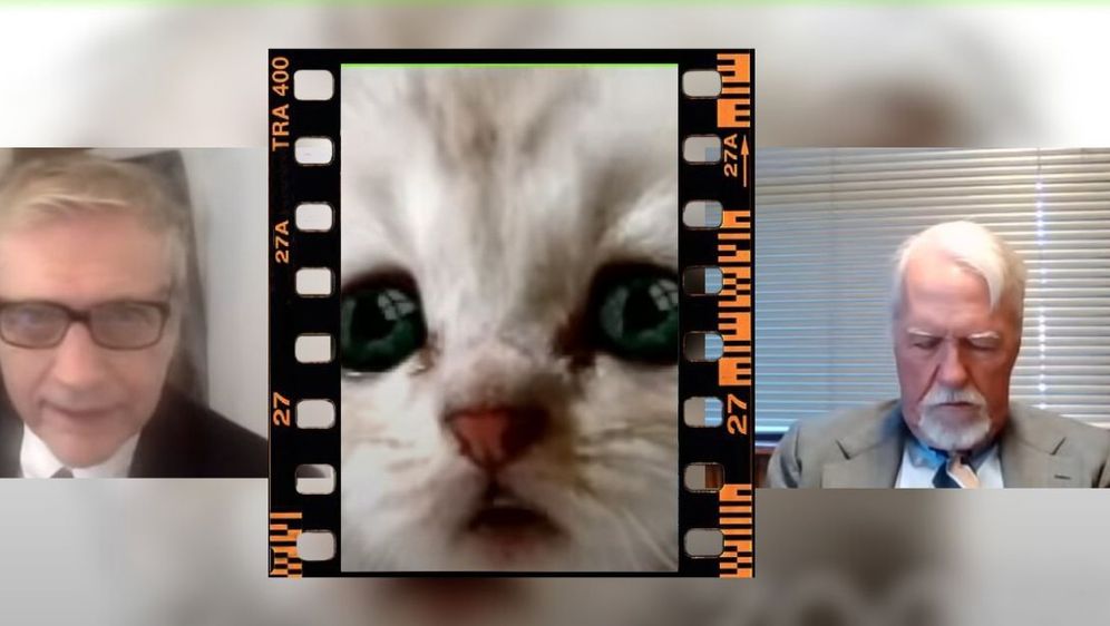 cat filter mačji filter viralno virtualno suđenje
