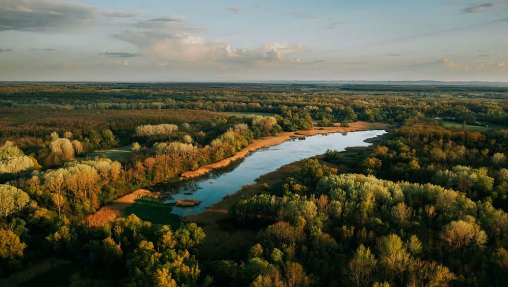 Mrtvica Čambina uz rijeku Dravu