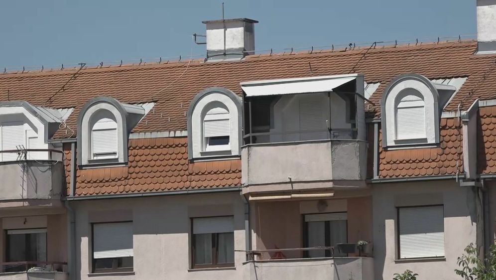 Informer: Nekretnine - 4