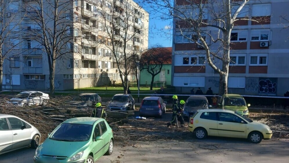 Uništeni automobili nakon pada stabla zbog jakog vjetra u Labinskoj ulici