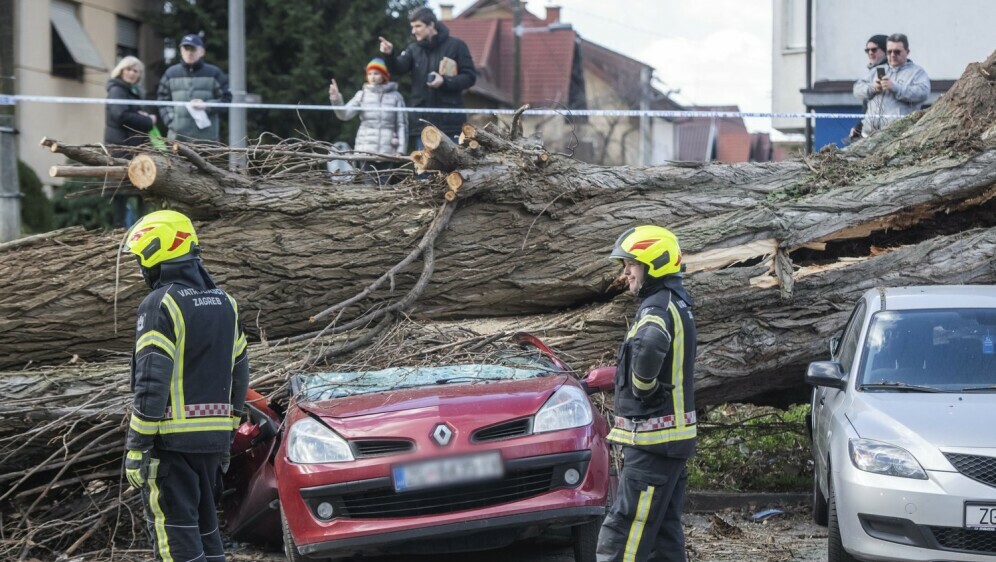 Uništeni automobili nakon pada stabla zbog jakog vjetra u Labinskoj ulici