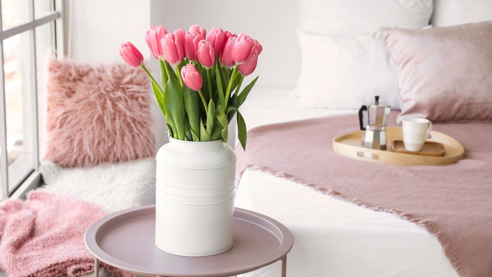 Tulipan je omiljen ukras u mnogim domovima