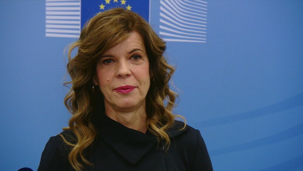 Biljana Borzan, zastupnica u Europskom parlamentu - 1
