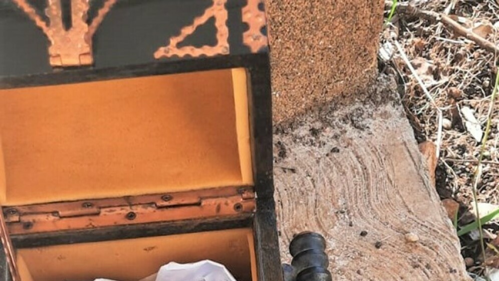 Zaplijenjena droga i oružje - 1