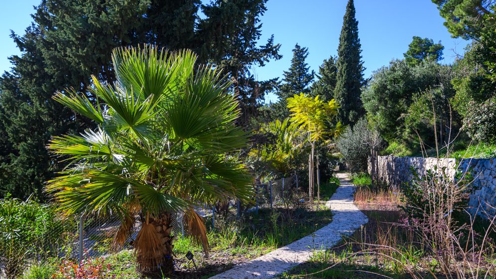 Botanički vrt u Park šumi Marjan spreman je za otvaranje