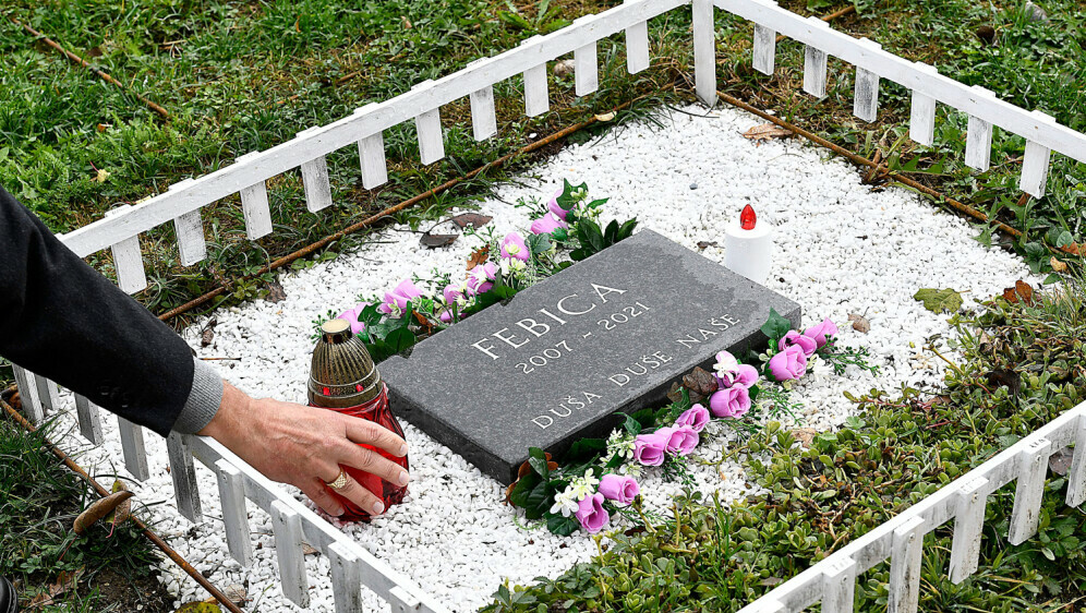 Grob kućnog ljubimca