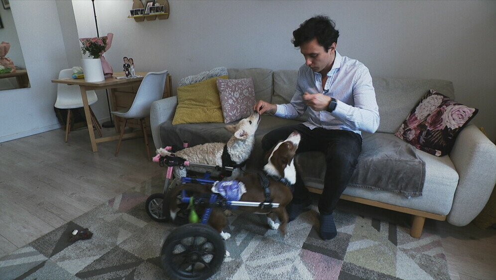 David Musil-Todorović - 1