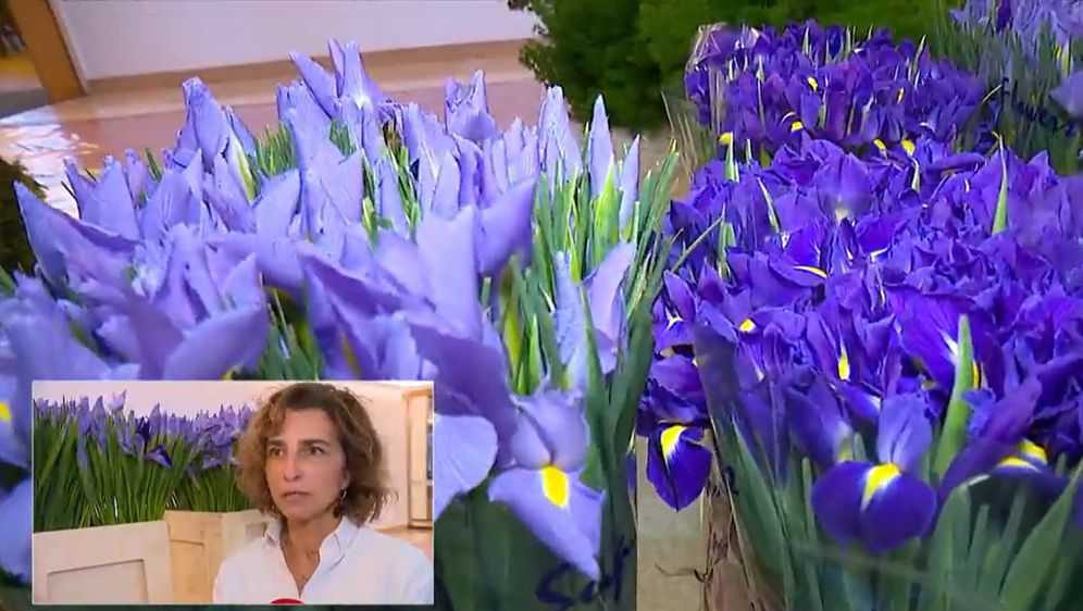 Arhitektica i floristica Boška Bahtijarević