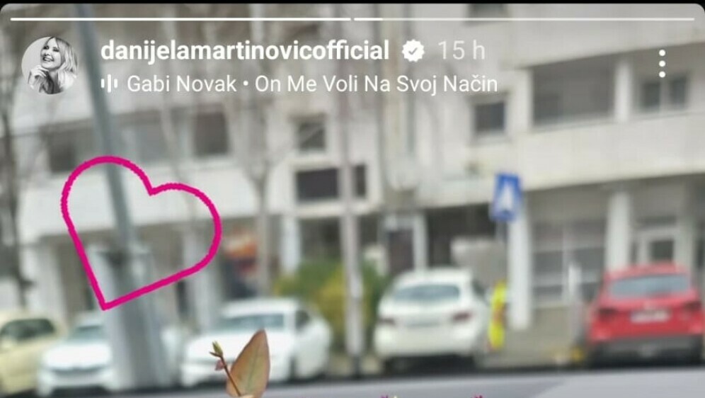 Danijela Martinović na Instagramu