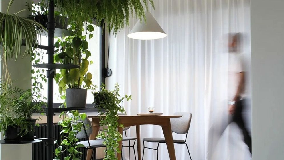 Bogato zelenilo unijelo je toplinu u stan