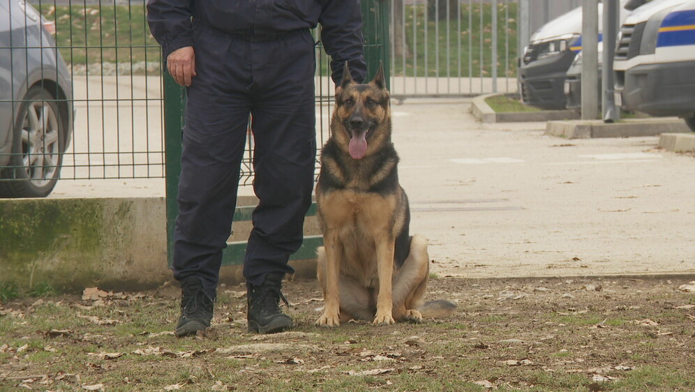 Provjereno: Policijski psi - 1