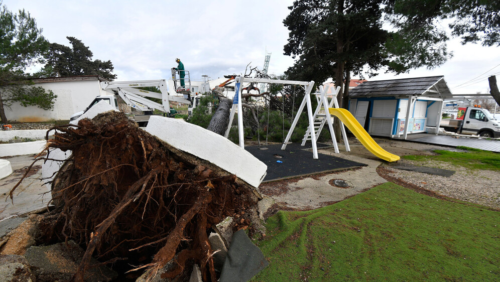 Bor se srušio na igralište - 4