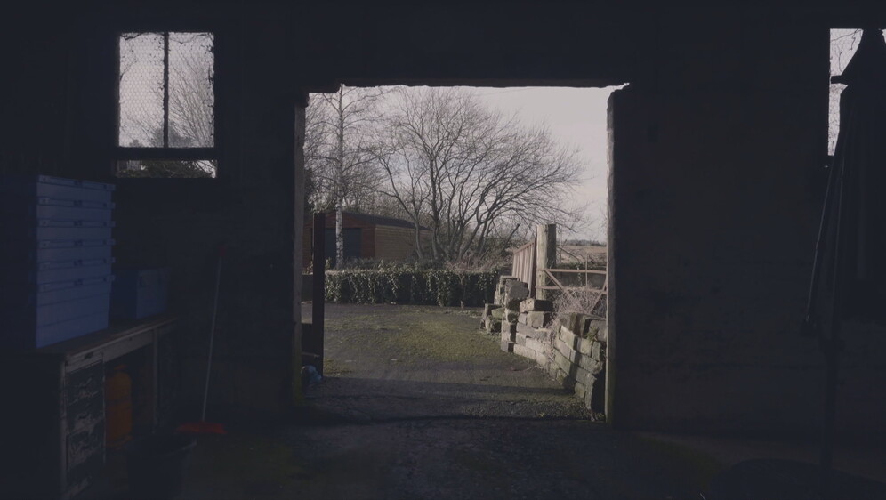 Horor u Svetoj Nedelji