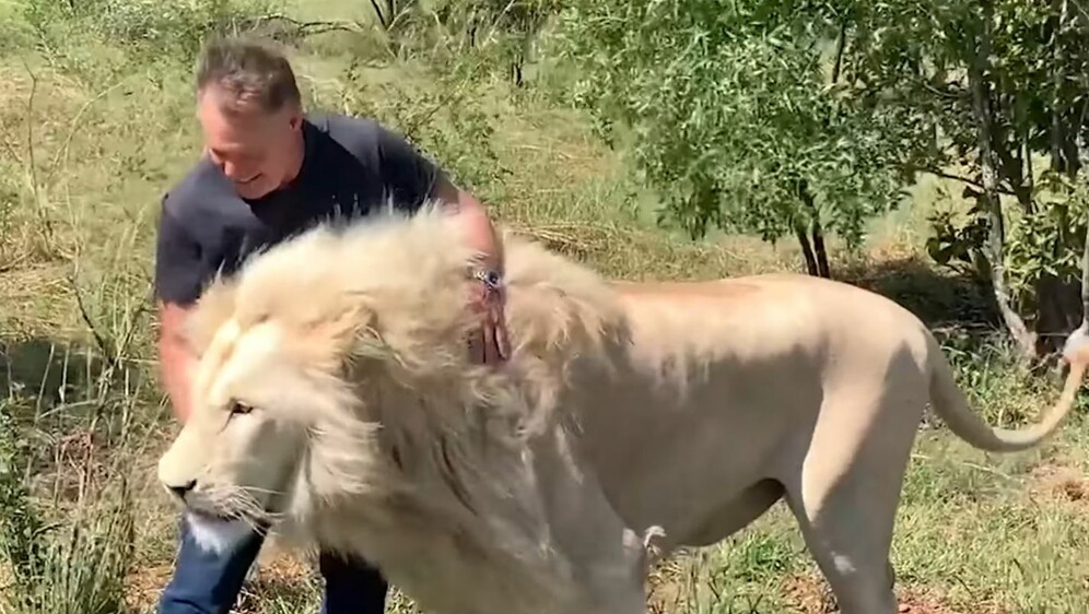 Bliski susret s lavom