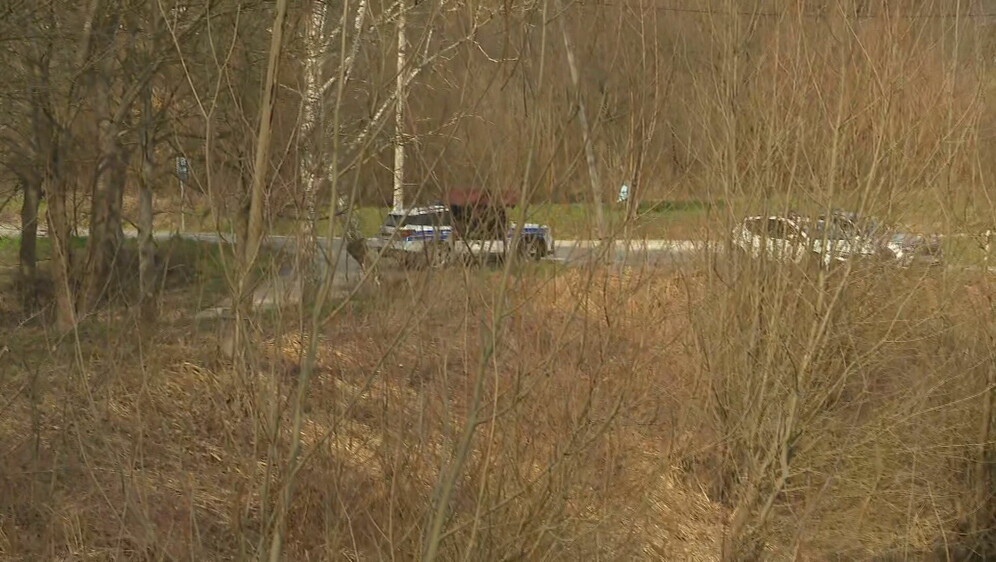 Potraga kraj Hrvatske Kostajnice