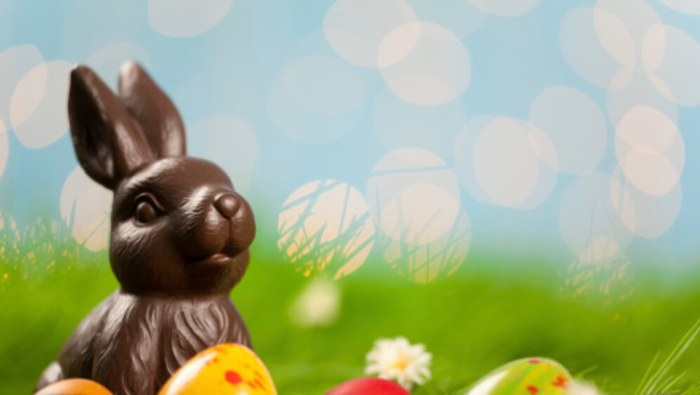 Čokoladni zec, ilustracija