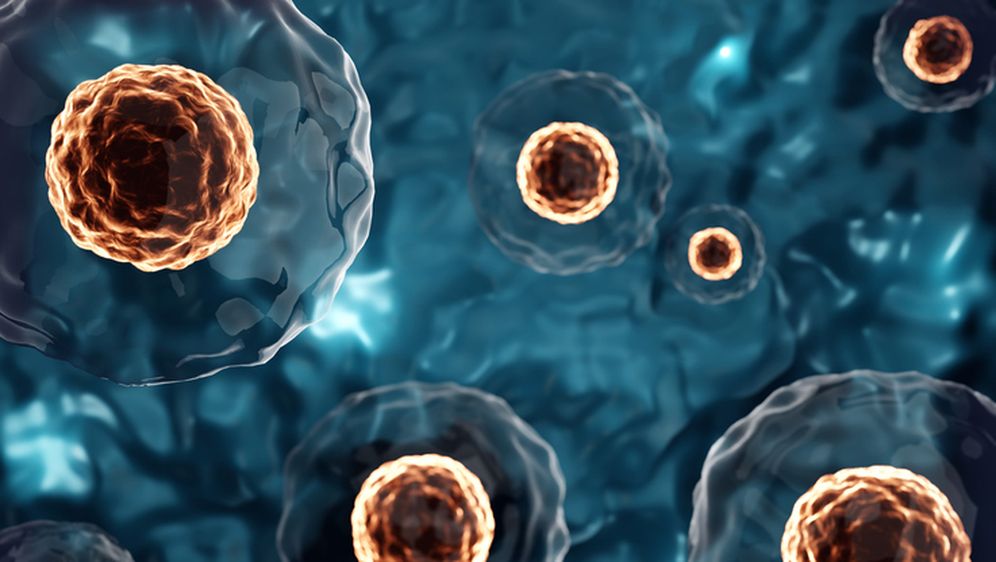 Matične stanice, ilustracija