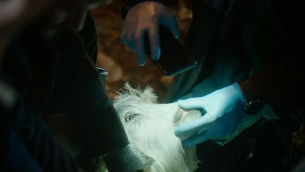 Crno more, 25.02. - 8