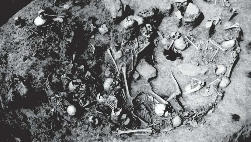 Masovna grobnica iz Željeznog doba u Gomolavi