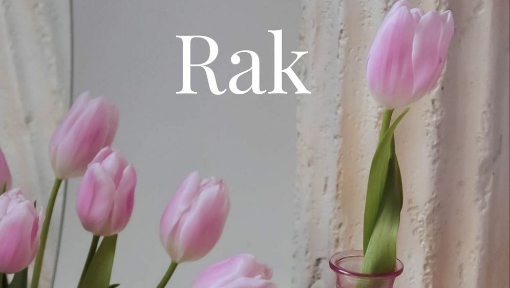 Rak