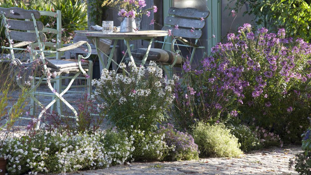 Odaberite pravu boju cvijeća za mali vrt - 5