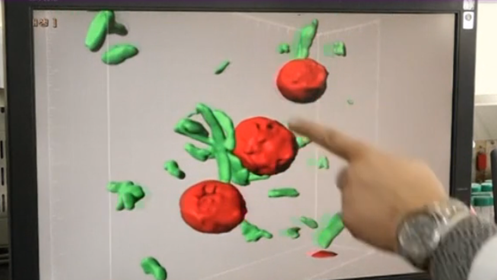 Znanstvenici iz Južne Koreje razvili prvi nanorobot koji liječi rak