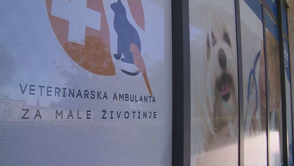 Optužnica protiv splitskog veterinara (Foto: Dnevnik.hr) - 2