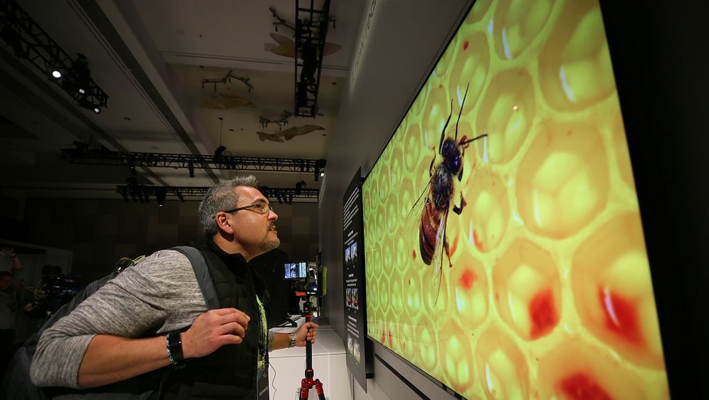 Samsung Micro LED zaslon (Foto: Samsung)