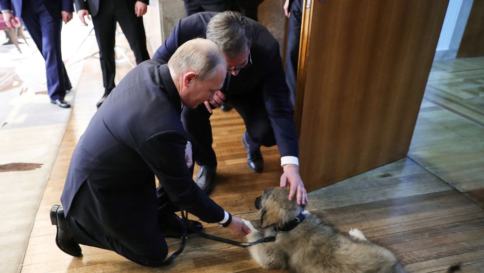 Vladimir Putin od Vučića dobio štene šarplaninca (Foto: AFP)