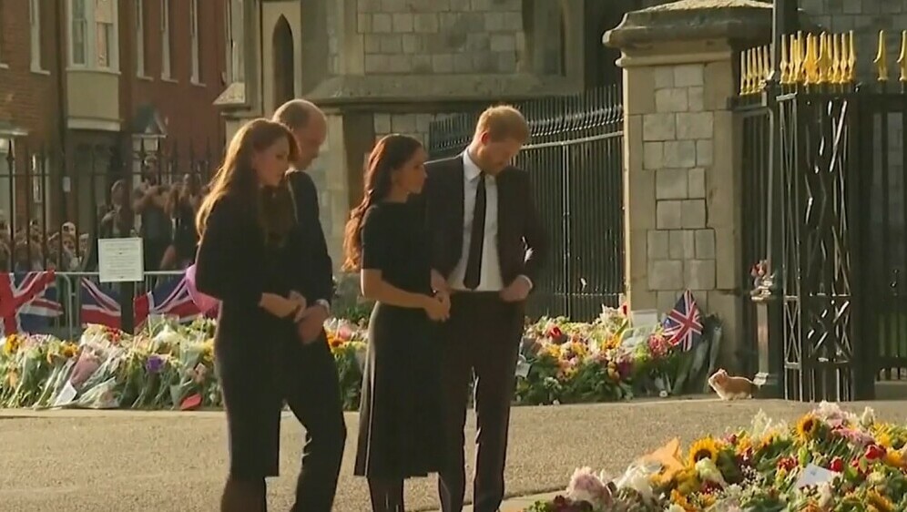 Princ Harry ponovno protiv monarije - 1