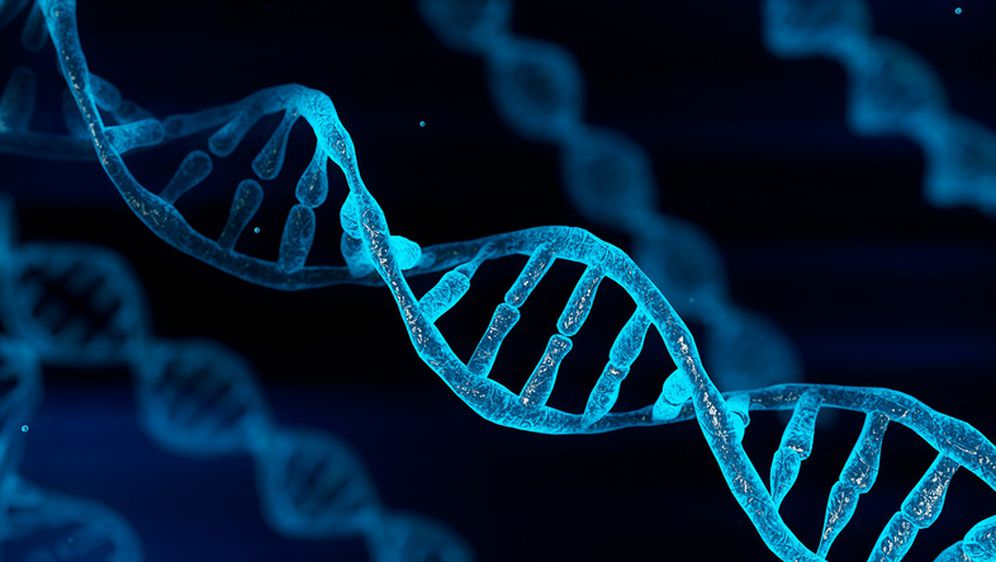 DNK, ilustracija